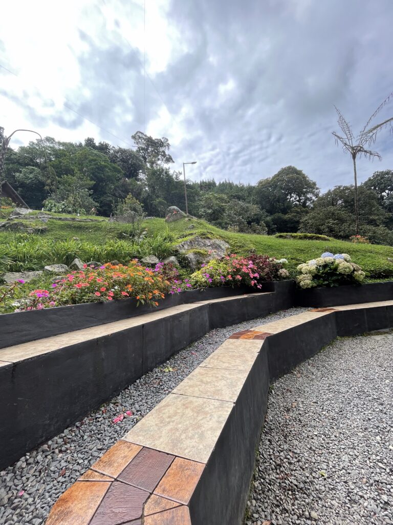 Tree Trek Boquete Panama - PanamaWithShevy