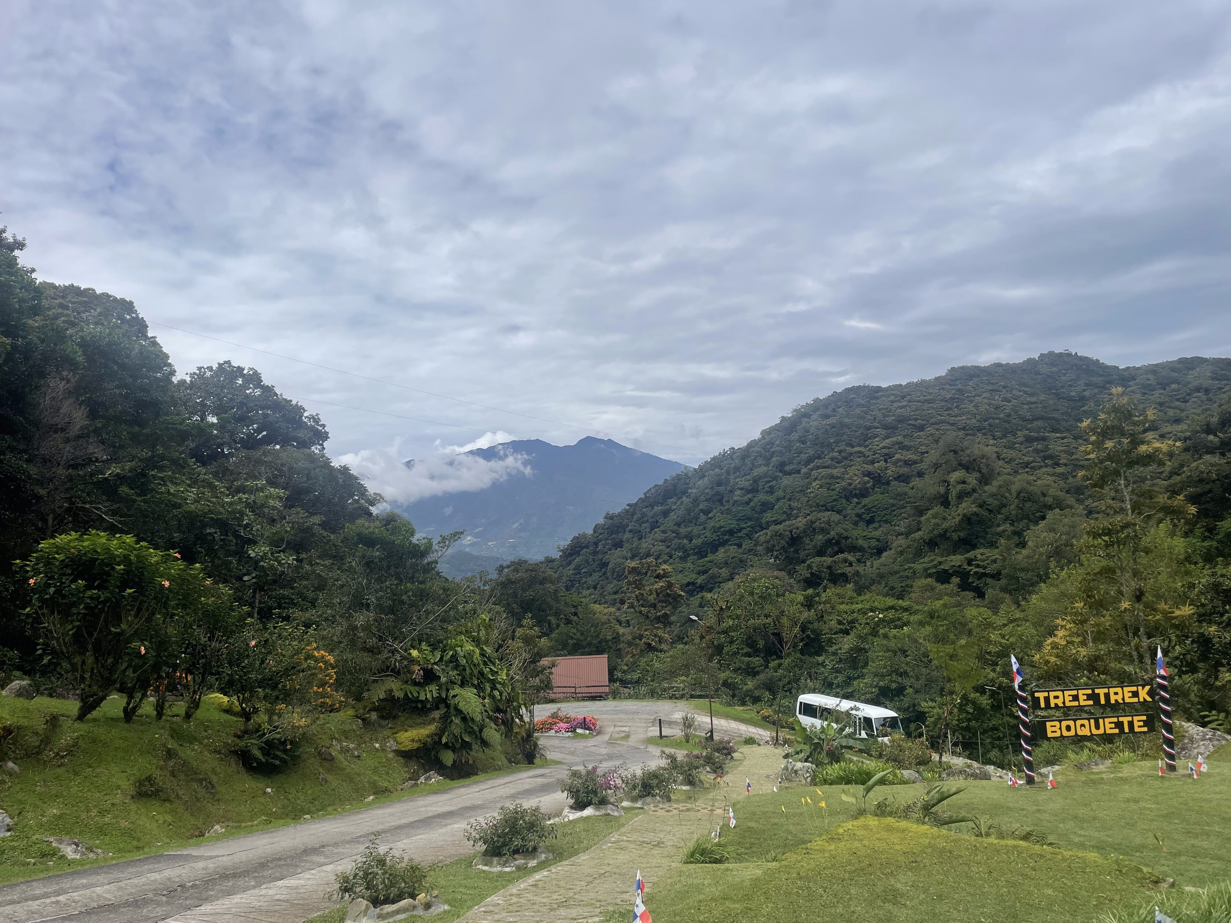 Tree Trek Boquete Panama - PanamaWithShevy