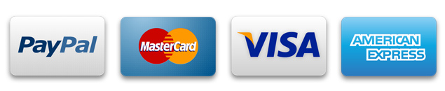 Visa Mastercard Paypal Payment Button | PanamaWithShevy